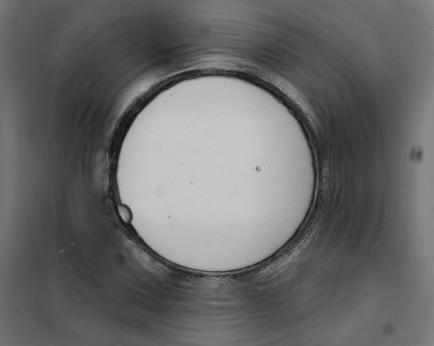 X0000101401067200807280956