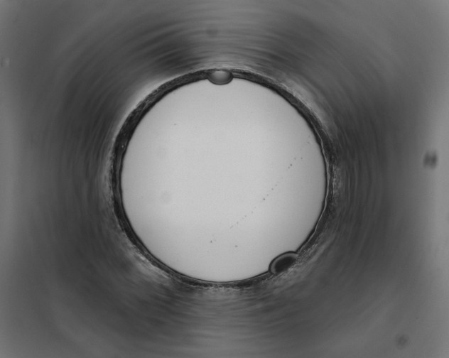 X0000101401068200807280956