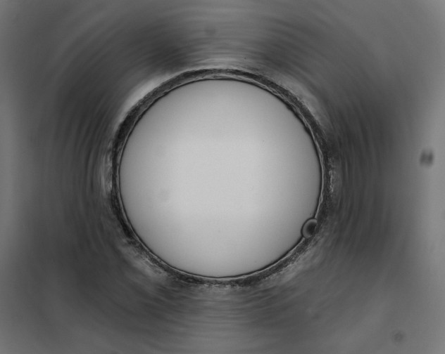 X0000101401069200807280956