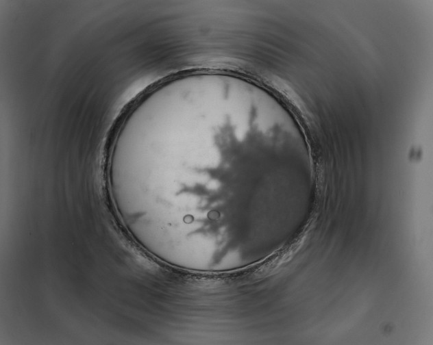 X0000101401071200807280956