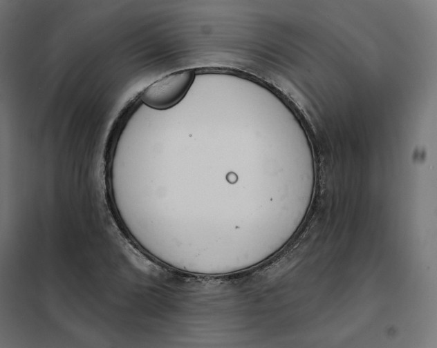 X0000101401072200807280956