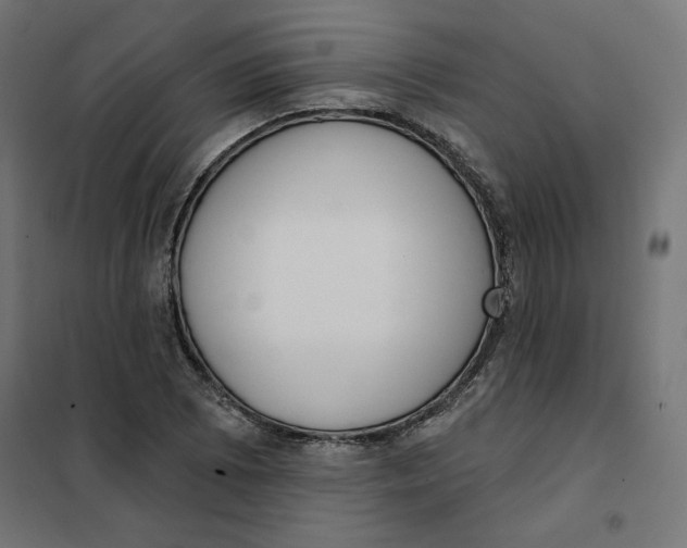 X0000101401073200807280956