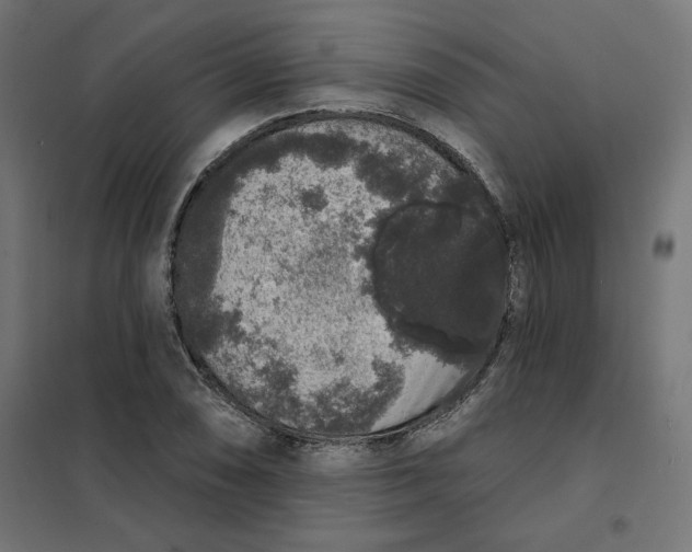 X0000101401074200807280956