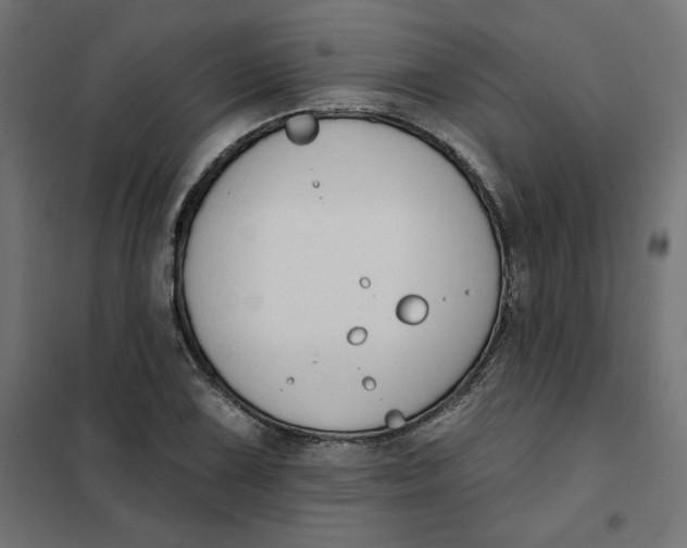 X0000101401075200807280956