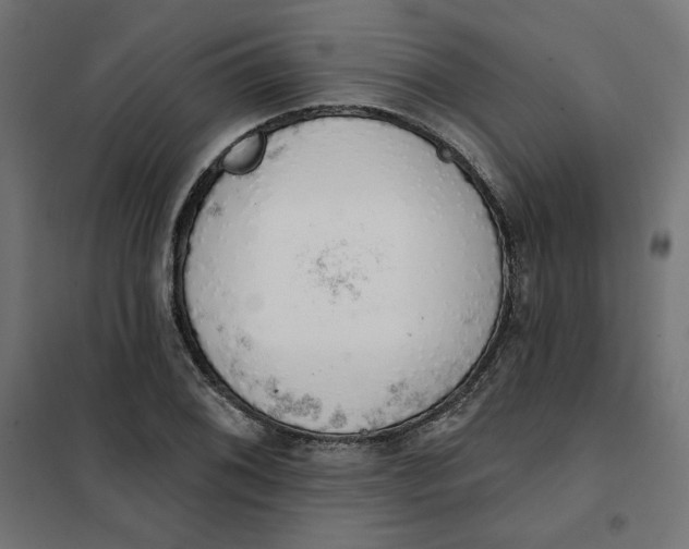 X0000101401076200807280956