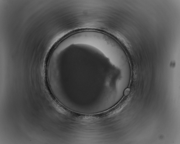 X0000101401077200807280956