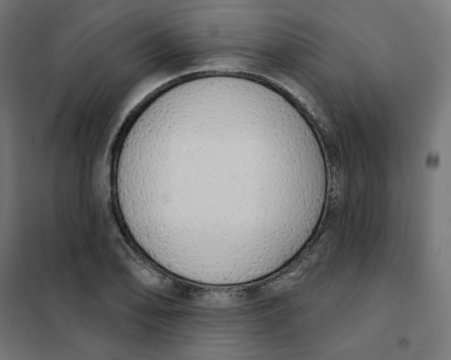 X0000101401078200807280956