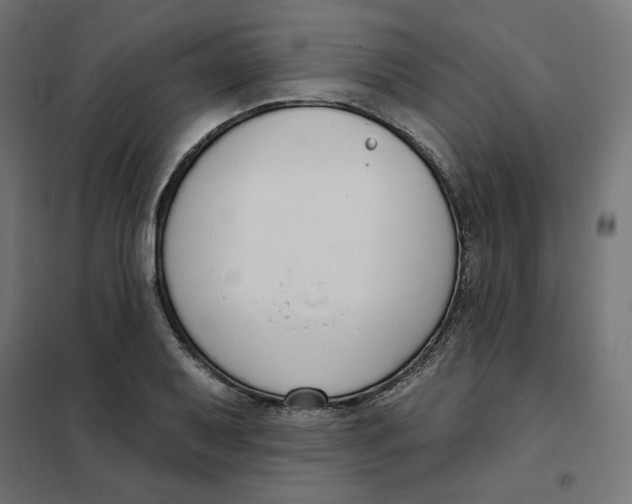 X0000101401079200807280956