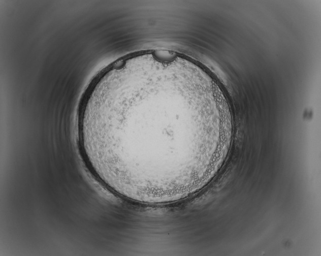 X0000101401080200807280956