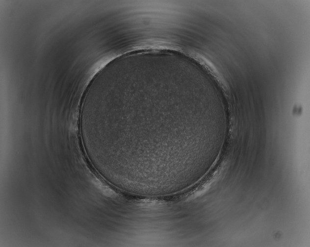 X0000101401081200807280956