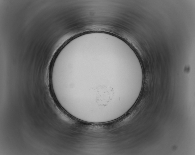 X0000101401082200807280956