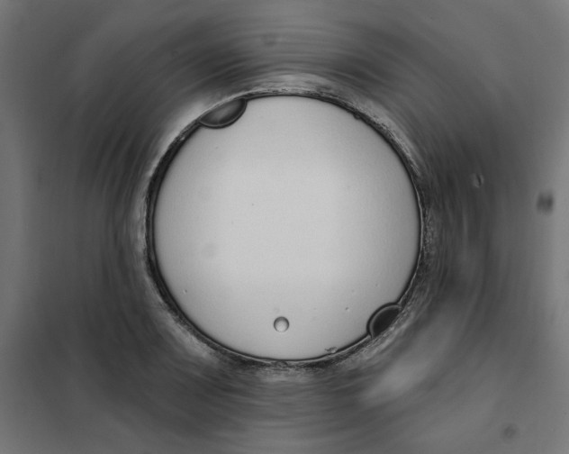 X0000101401083200807280956