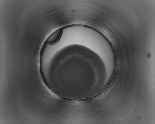 X0000101401084200807280956