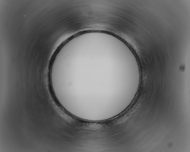 X0000101401085200807280956