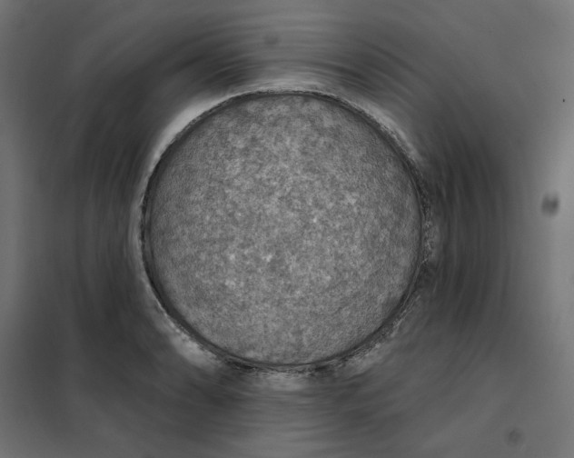 X0000101401086200807280956