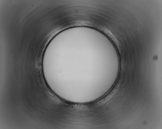 X0000101401089200807280956