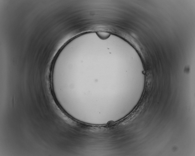 X0000101401091200807280956