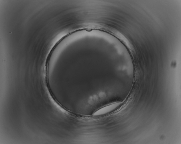 X0000101401095200807280956