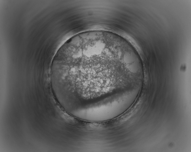 X0000101401097200807280956