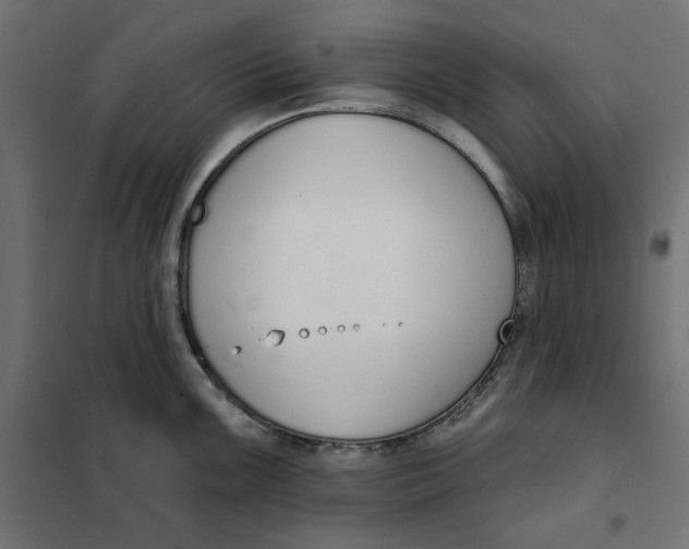 X0000101401099200807280956