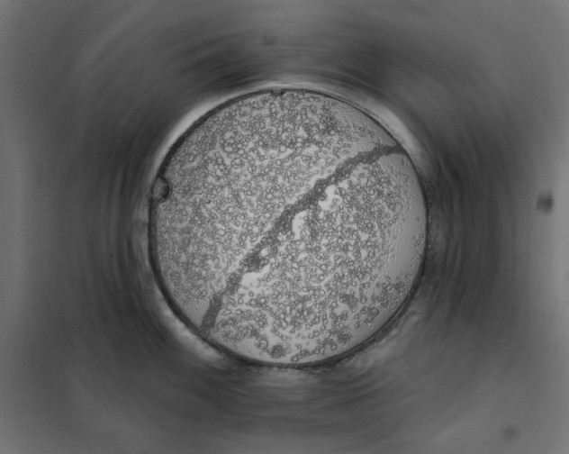 X0000101401100200807280956