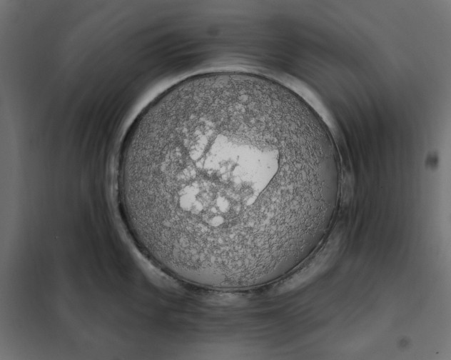 X0000101401101200807280956