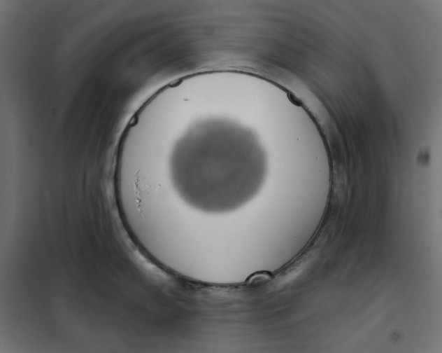 X0000101401102200807280956