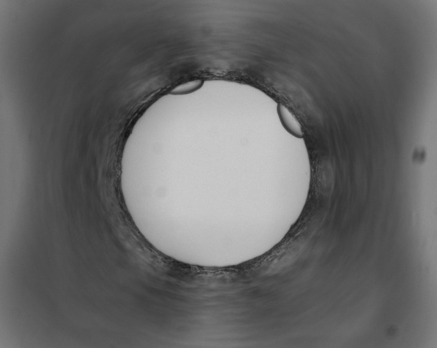 X0000101401105200807280955