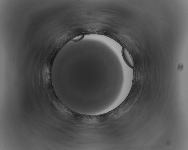 X0000101401106200807280955