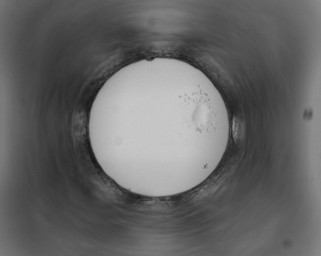 X0000101401107200807280955