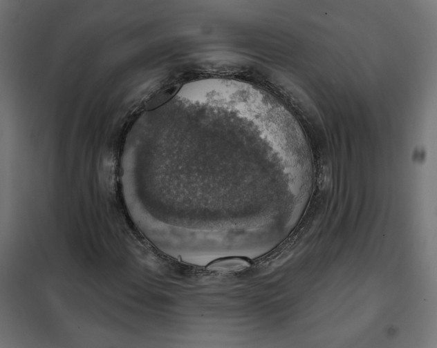 X0000101401108200807280955