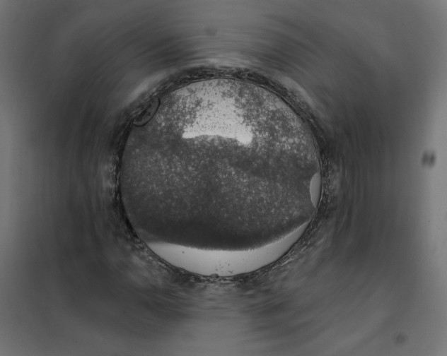 X0000101401110200807280955