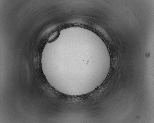 X0000101401111200807280955