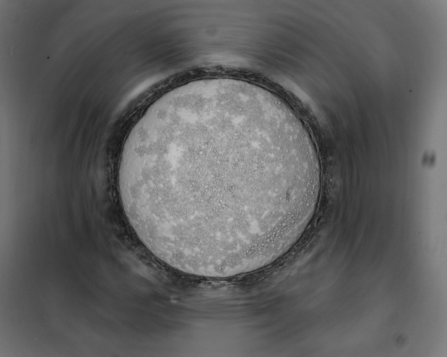 X0000101401112200807280955