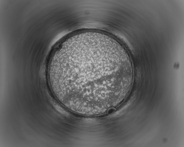 X0000101401114200807280955