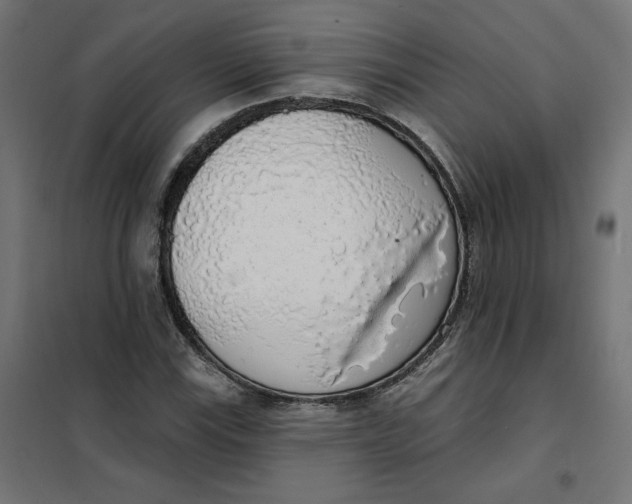 X0000101401115200807280955