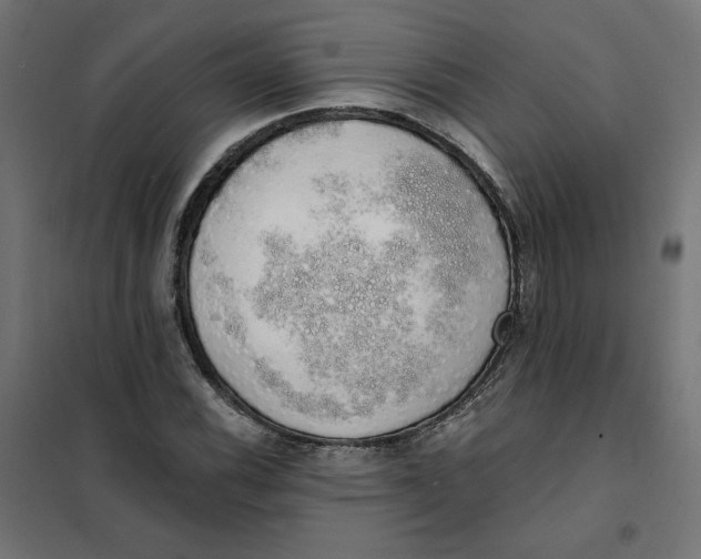 X0000101401116200807280955