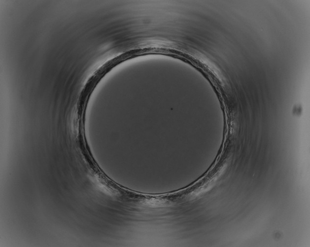 X0000101401117200807280955