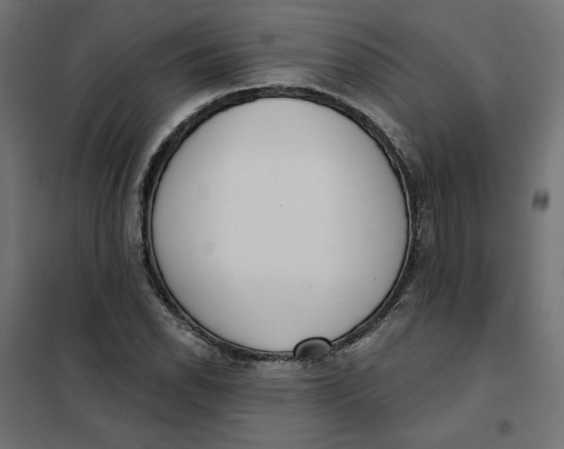 X0000101401118200807280955