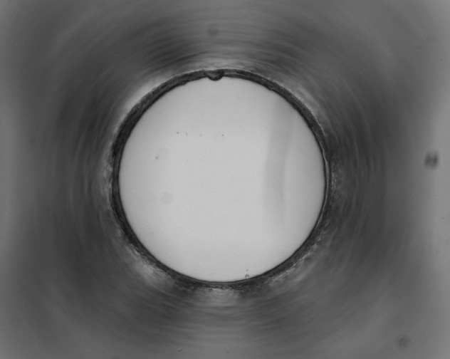 X0000101401119200807280955