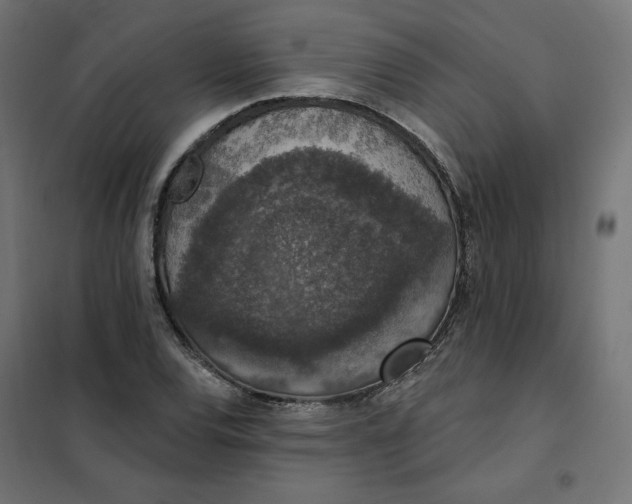 X0000101401120200807280955