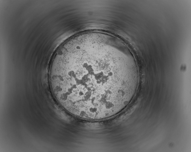 X0000101401121200807280955