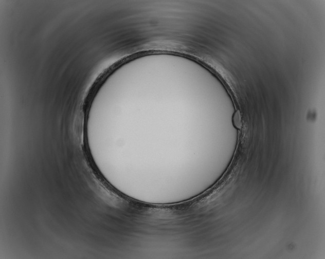 X0000101401123200807280955