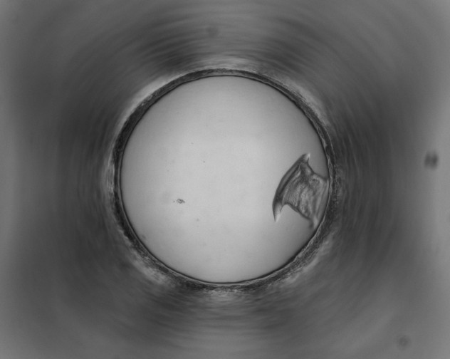 X0000101401125200807280955