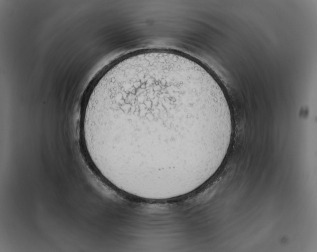 X0000101401126200807280956