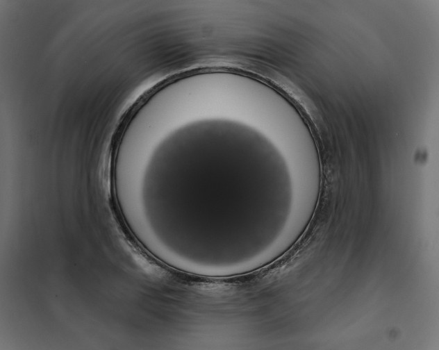 X0000101401127200807280956