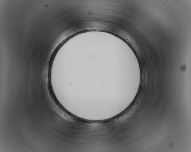 X0000101401130200807280956