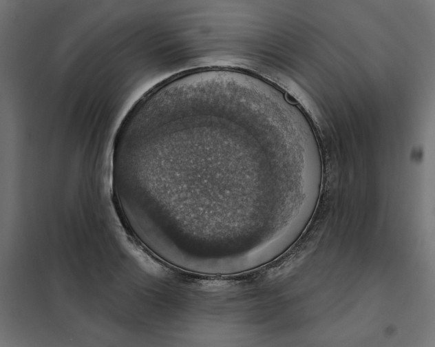 X0000101401132200807280956