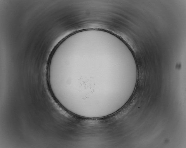 X0000101401134200807280956