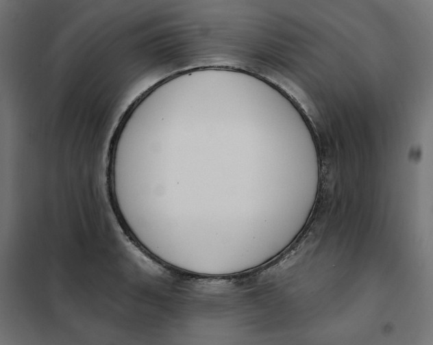 X0000101401135200807280956